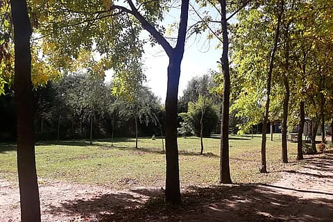 Oasis Campero 4