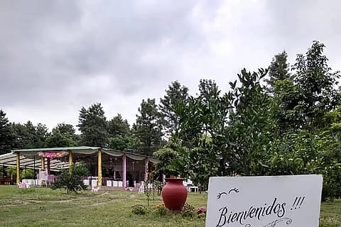 Finca Los Pinos 4