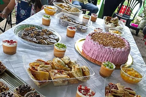 Camino Viejo Colón 4