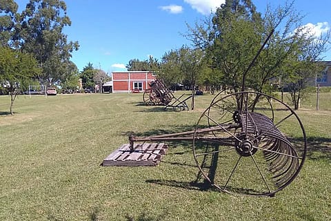 Camino Viejo Colón 5