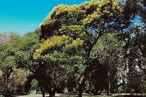 Estancia Santa Juana 5