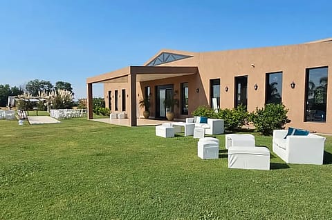 La Araucaria 2