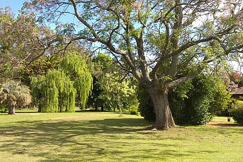 Estancia La Soñada Miramar 4