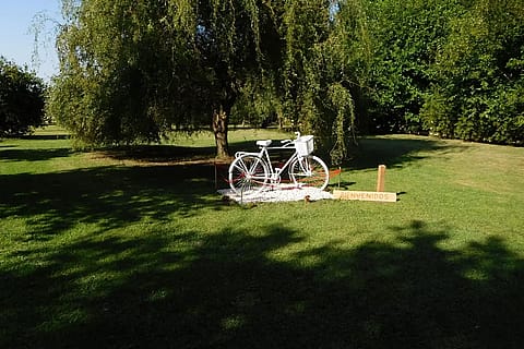 Quinta Los Robles San Vicente
