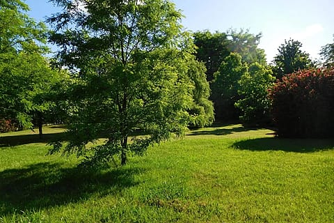 Quinta Los Robles San Vicente 4
