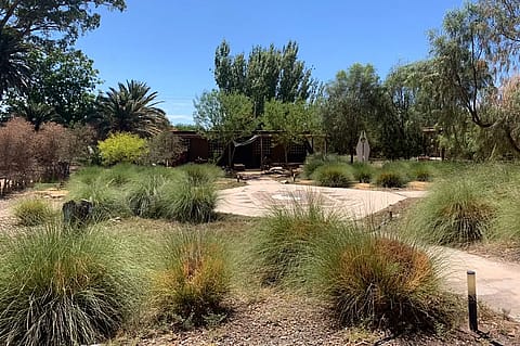 Finca las Marujitas 3