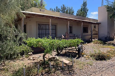 Finca las Marujitas 4