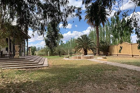 Finca las Marujitas 5