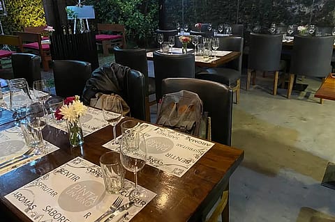 Vica Bar 3