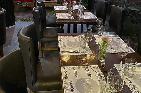 Vica Bar 5