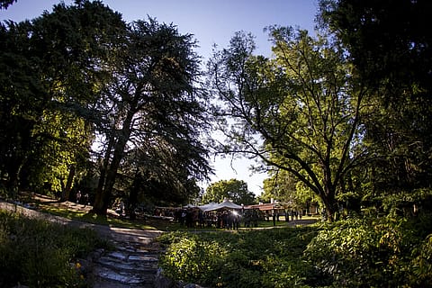 Estancia Bosque Alegre 3
