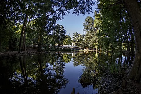 Estancia Bosque Alegre 4