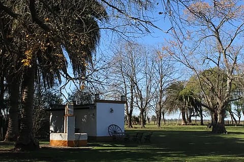 Las Dueñas de Areco 3