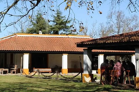 Las Dueñas de Areco 5