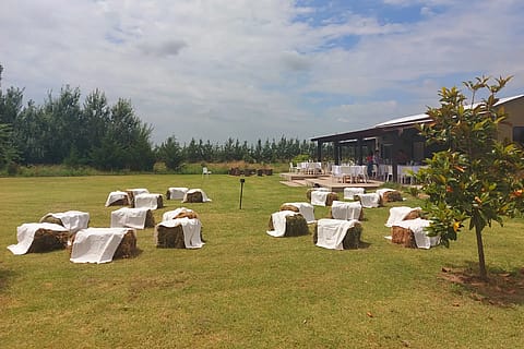 Campo La Providencia 3