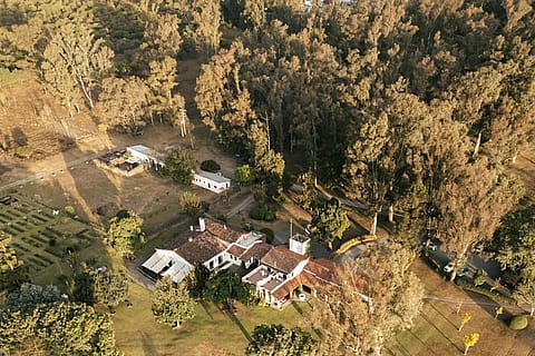 House of Jasmines 5