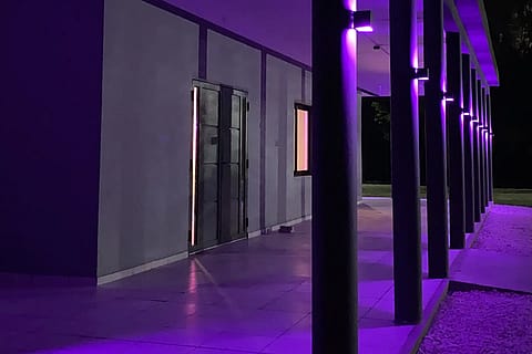 Clorofila Eventos 5