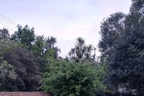 Espacio Uribe 2