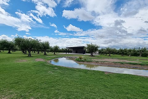 Lauquen 3