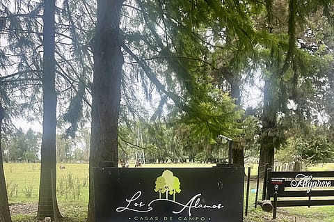 Estancia Los Álamos 4