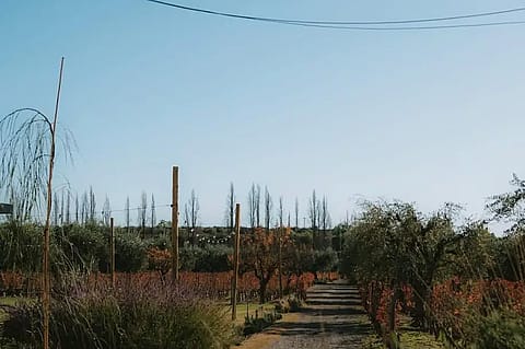 Finca La Toscana 5