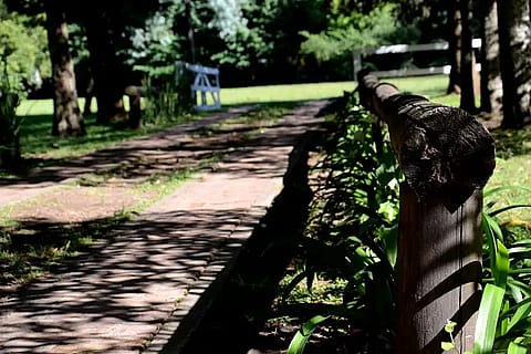 Los Laureles 4