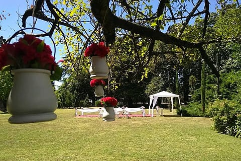 Quinta Alameda 3