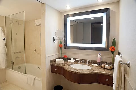 Regal Pacific Buenos Aires 3