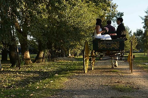 Alamos de Cañuelas 4