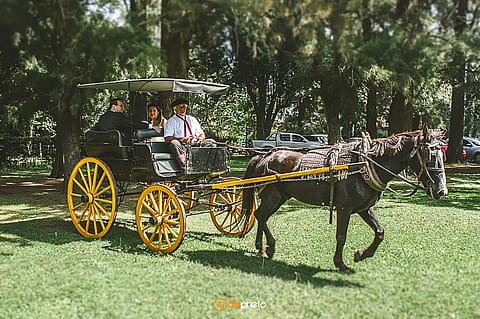 Estancia Los Candiles 2