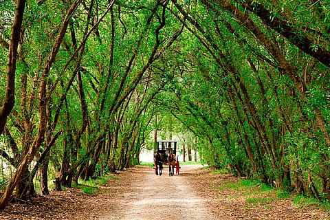 Estancia Santa Isabel 5