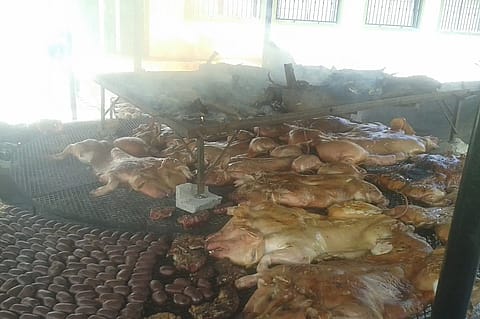 Granja Milagros 3
