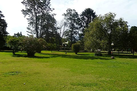 La Arbolada Eventos 4