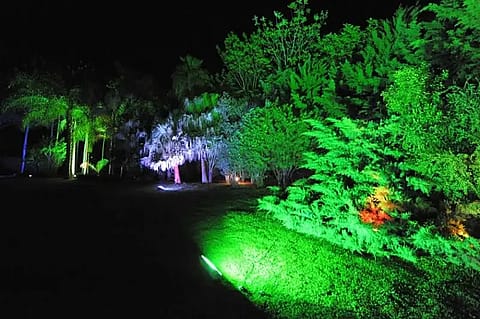 La Escondida Eventos 5