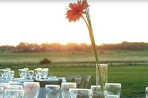 Los Girasoles 4