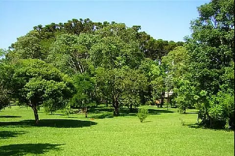 Hotel Cabañas del Parque 2