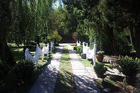 Quinta Las Litas 4