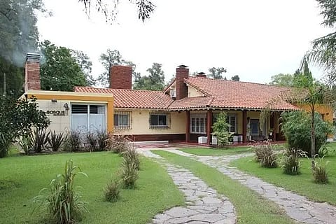 Del Bosque 2