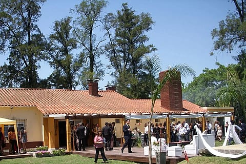 Del Bosque 5