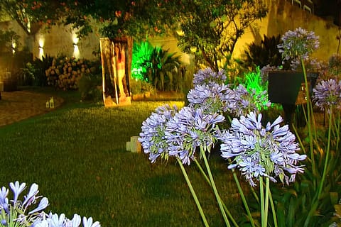 Angels Eventos 3