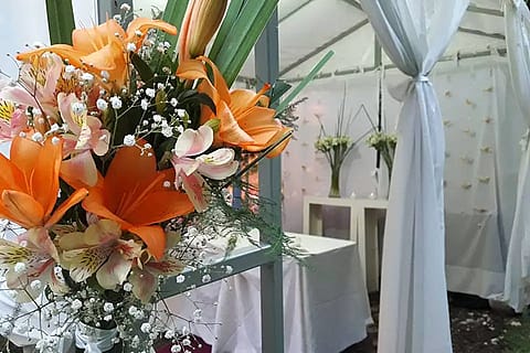 Angels Eventos 4