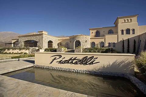 Piattelli Vineyards