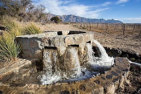 Piattelli Vineyards 4