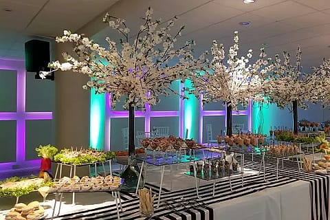 Moaré Eventos 5