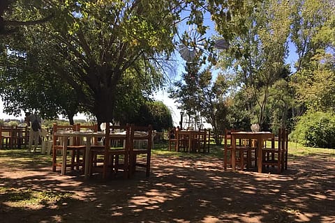 La Carreta del Gato
