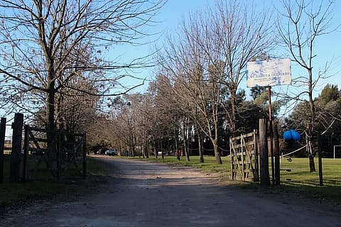 La Carreta del Gato 2
