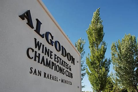Algodón Wine Estates 2