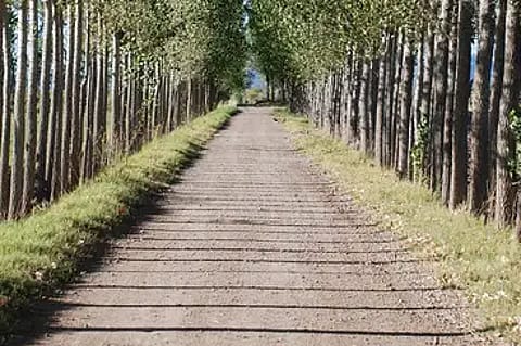 Algodón Wine Estates 3