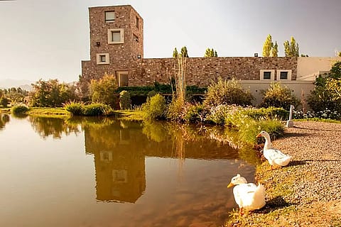 Bodega Renacer