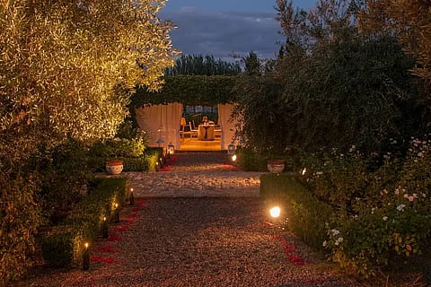 Bodega Renacer 3